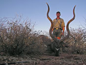 Record Kudu